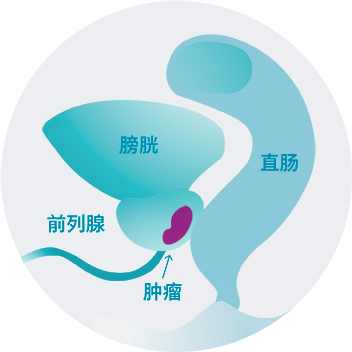 原理_1